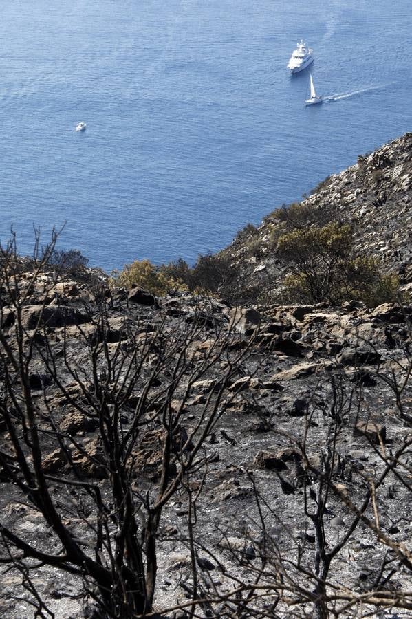 Tareas de limpieza tras el incendio forestal en el parque natural del Montgó