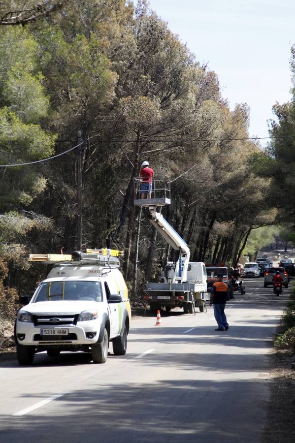 Tareas de limpieza tras el incendio forestal en el parque natural del Montgó