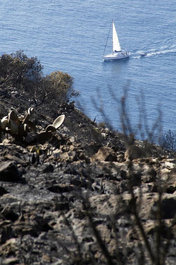 Tareas de limpieza tras el incendio forestal en el parque natural del Montgó