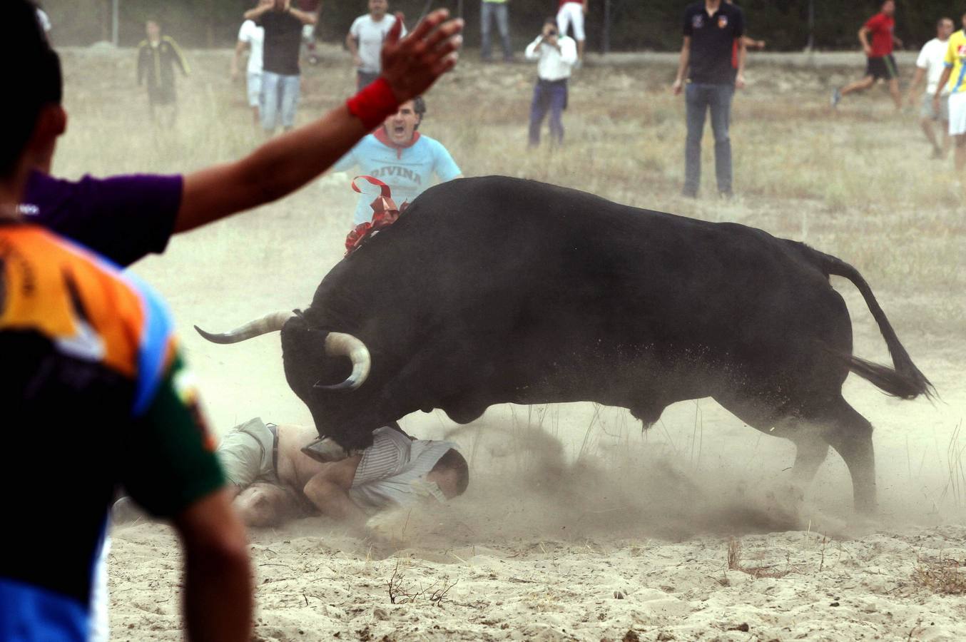 'Elegido' ha herido a cuatro personas, una de ellas de carácter grave, durante el recorrido.