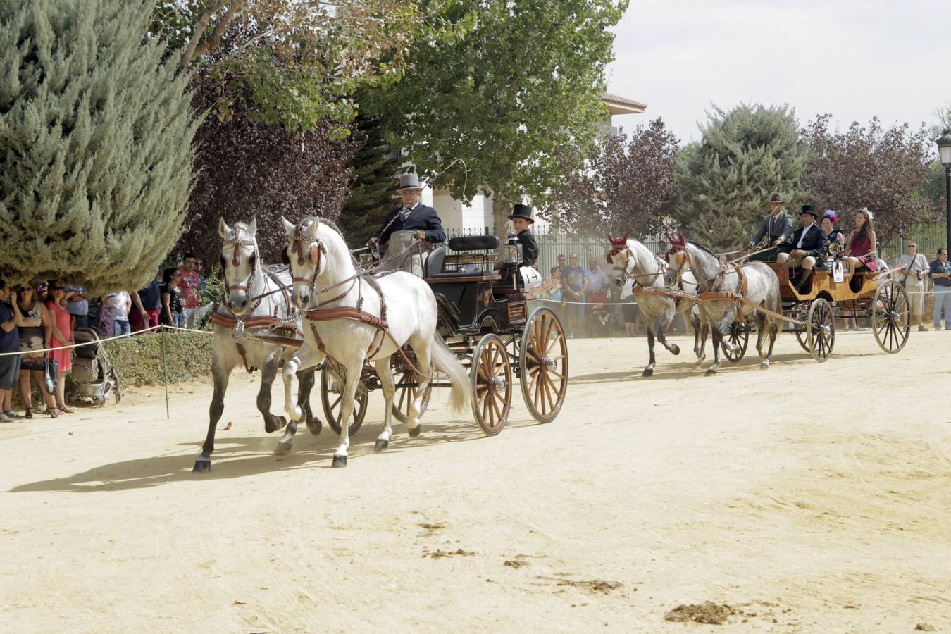 La alamedas se quedan pequeñas para acoger a los fieles de la Virgen de las Huertas