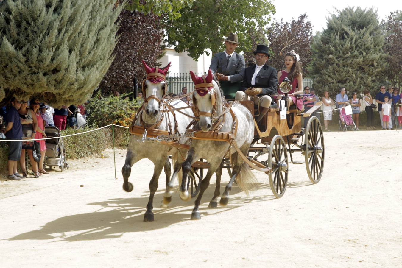La alamedas se quedan pequeñas para acoger a los fieles de la Virgen de las Huertas