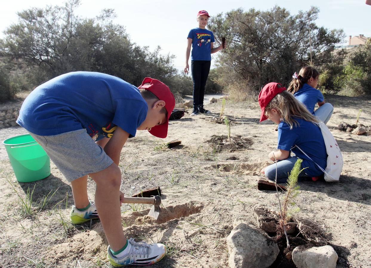 Las Hogueras celebran el Día del Árbol