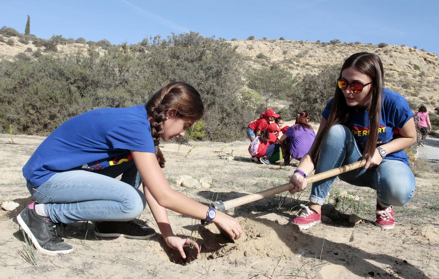 Las Hogueras celebran el Día del Árbol