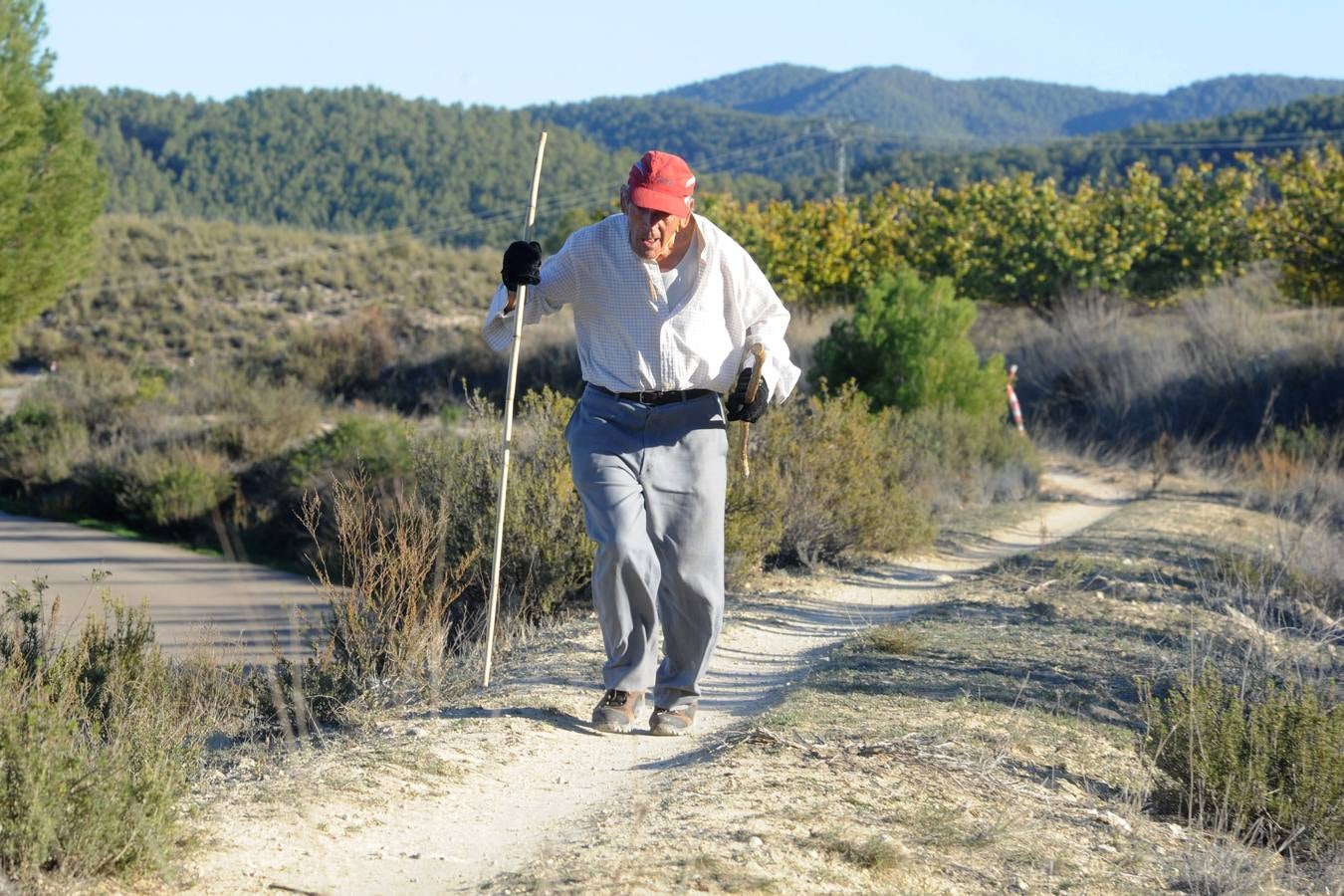 Falco Trail en Cehegín