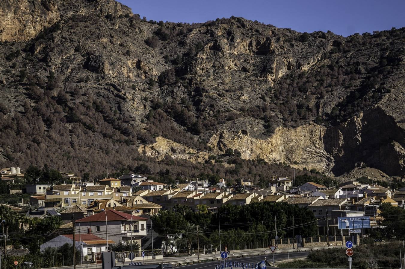 Vecinos de La Aparecida critican que no haya ayudas para combatir el &#039;tomicus&#039;