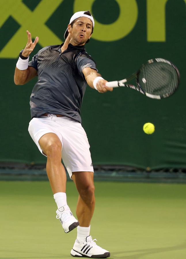 David Ferrer destaca su «buen juego» en la victoria ante Verdasco