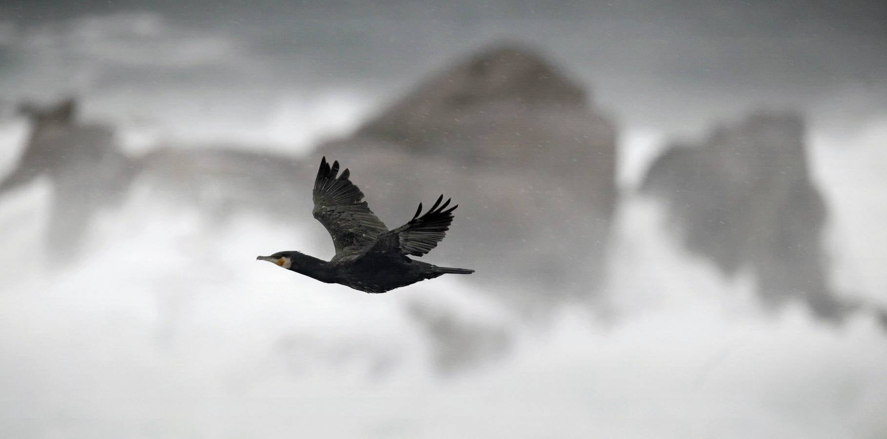 Un mar en alerta naranja
