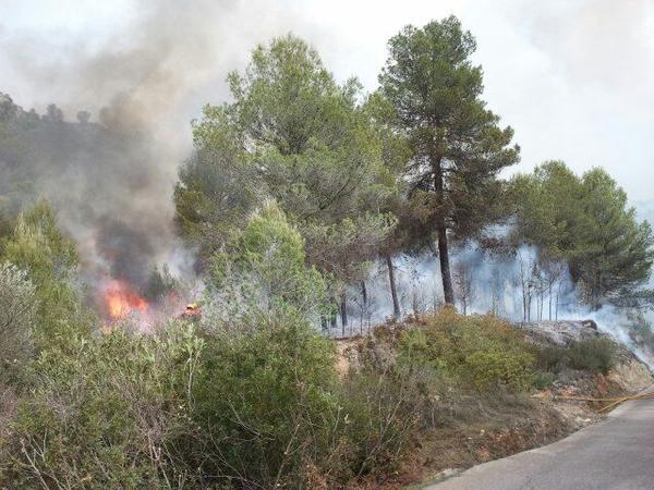 Incendio forestal en L&#039;Orxa