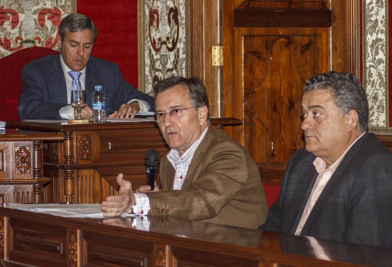 Pleno extraordinario en el Ayuntamiento de Alicante