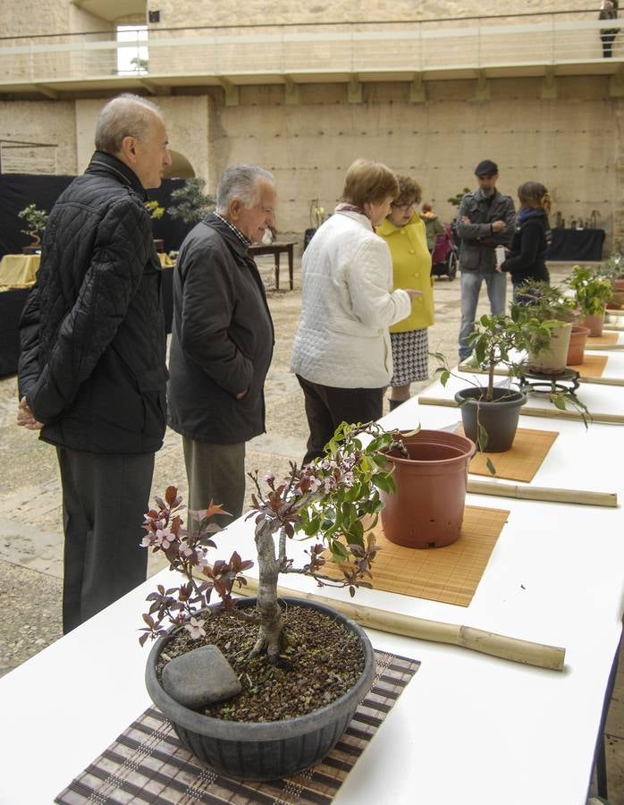 Un arte milenario en Elche