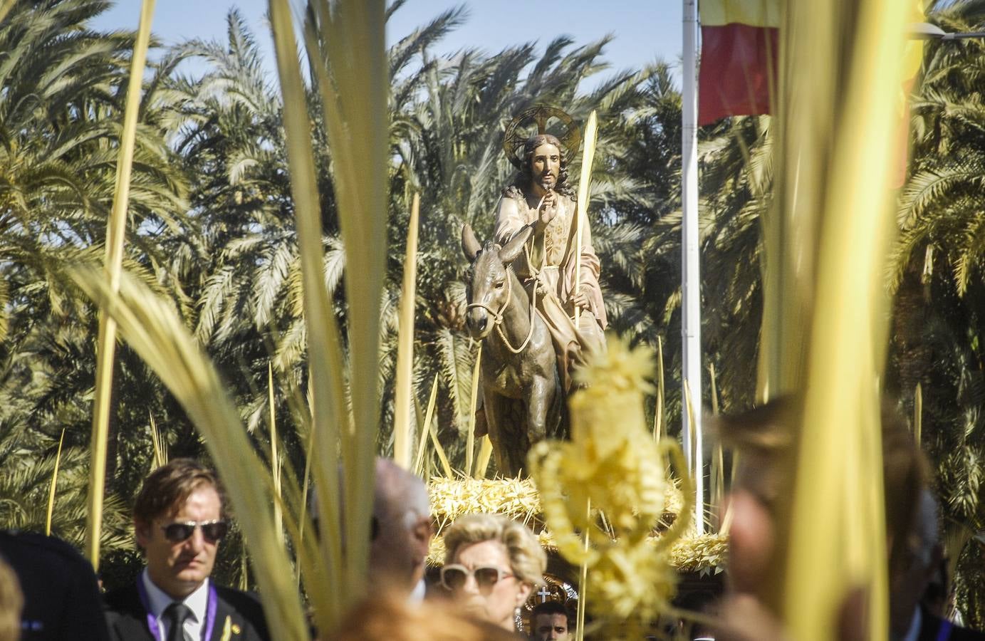 Procesión de Domingo de Ramos en Elche