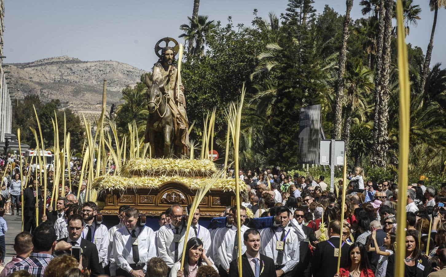 Procesión de Domingo de Ramos en Elche