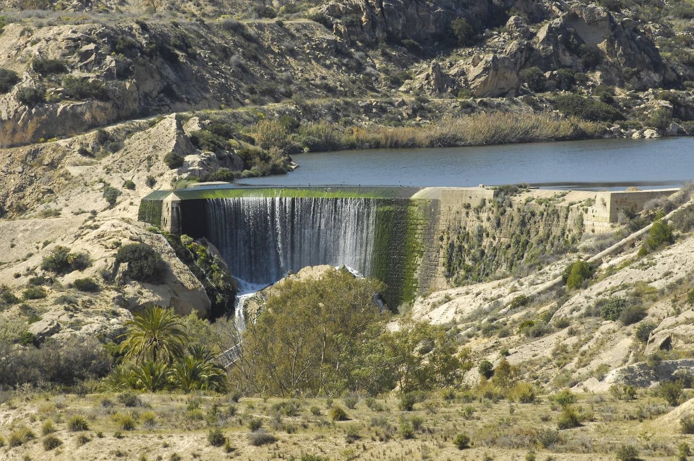 Pantano de Elche