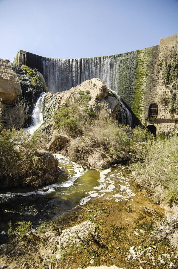 Pantano de Elche