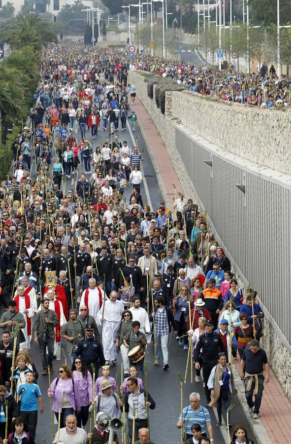 Romería de la Santa Faz (I)