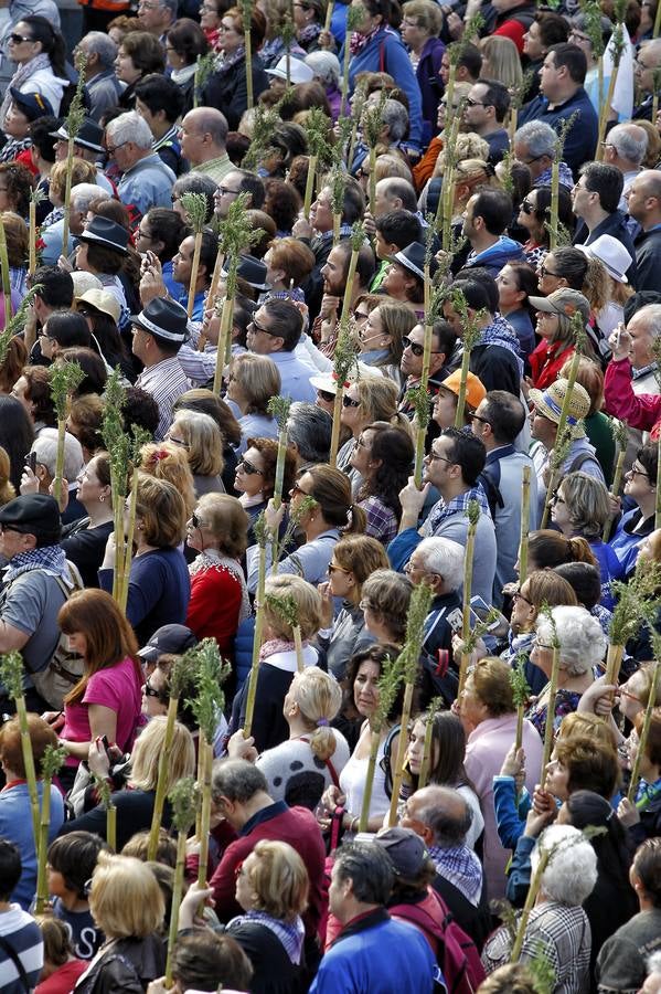 Romería de la Santa Faz (II)