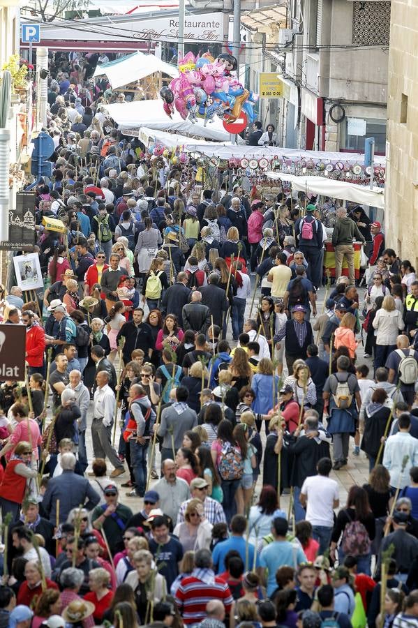 Romería de la Santa Faz (II)