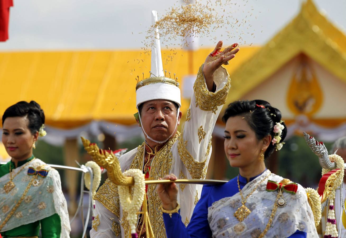 El arroz de la suerte