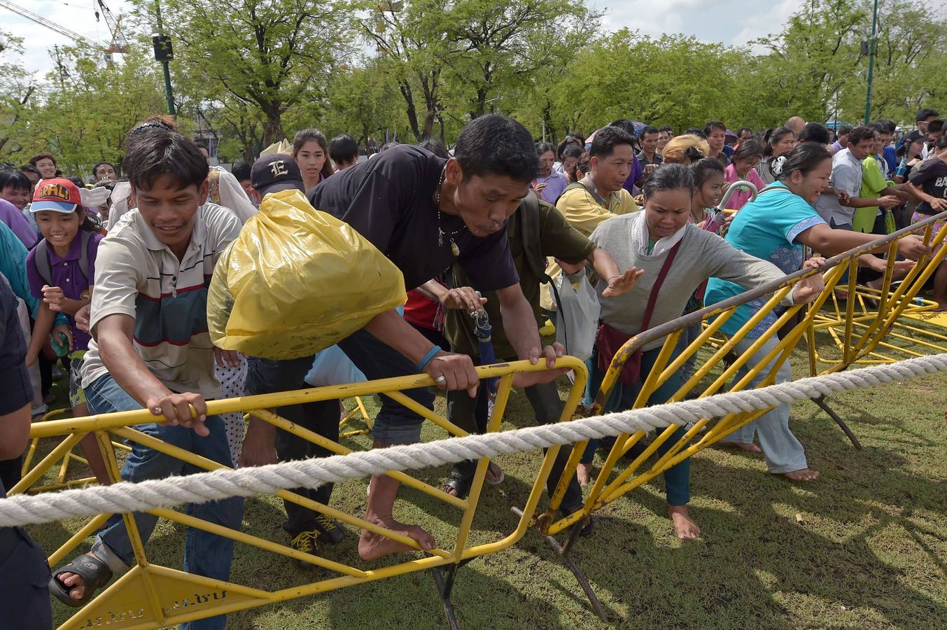 El arroz de la suerte