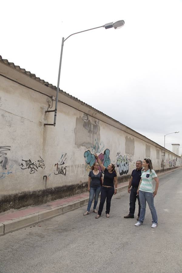 Invasión de mosquitos en Campos del Río
