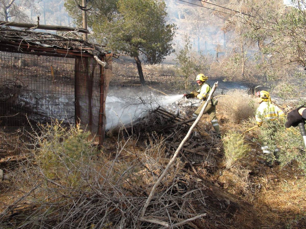 Un incendio calcina casi cuatro hectáreas de monte en Orihuela