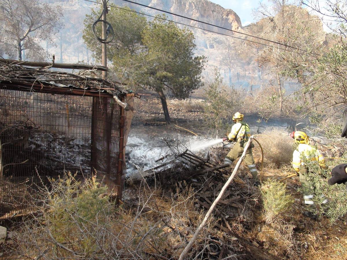 Un incendio calcina casi cuatro hectáreas de monte en Orihuela