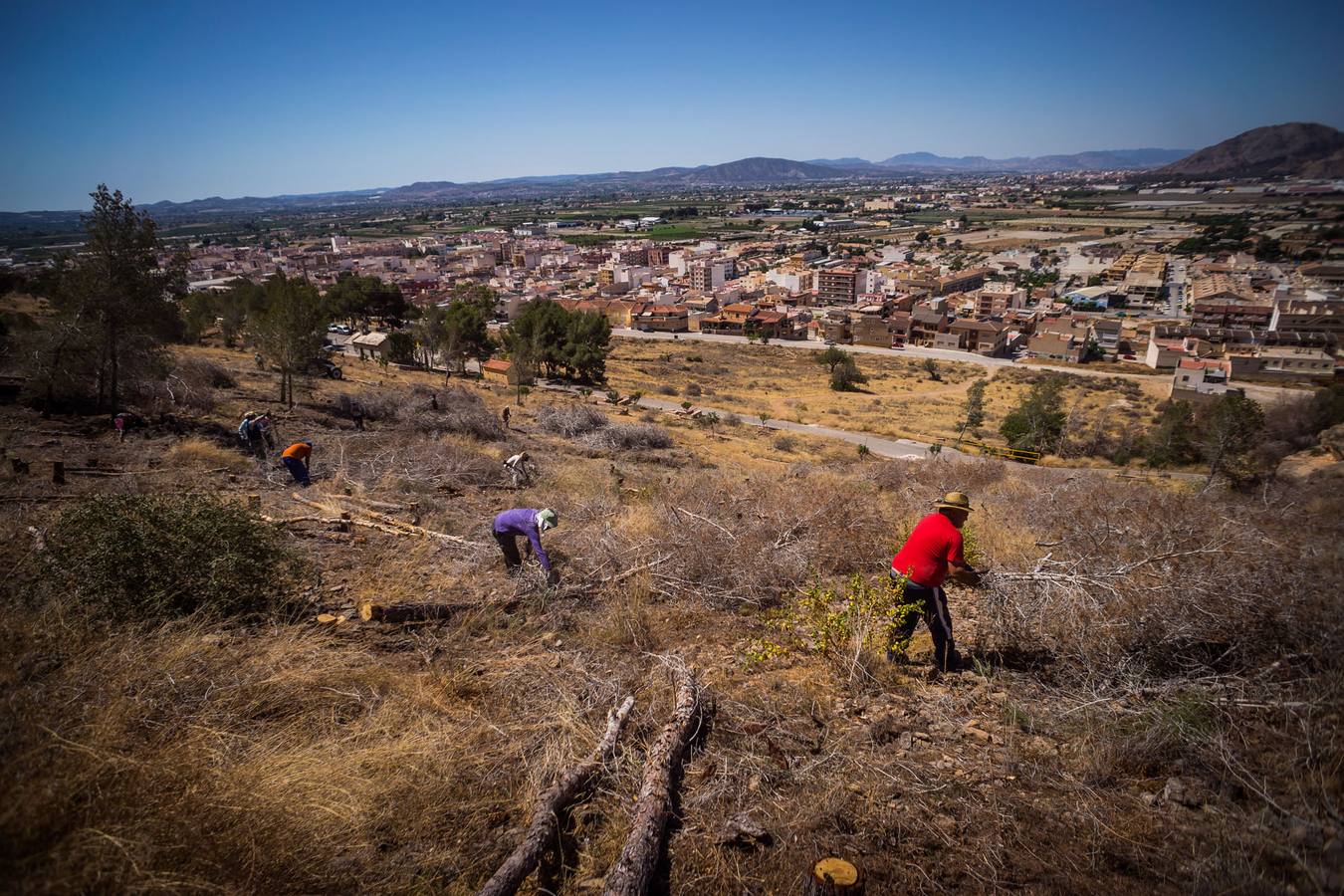 El Ayuntamiento retira los pinos secos de la sierras