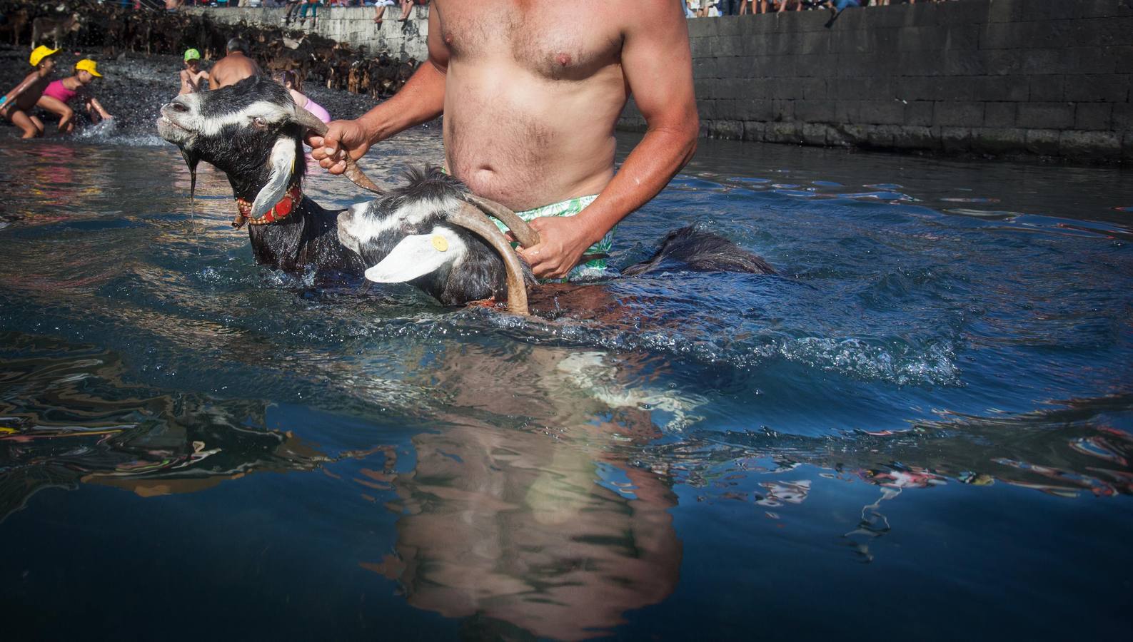 ¡Al agua cabras!