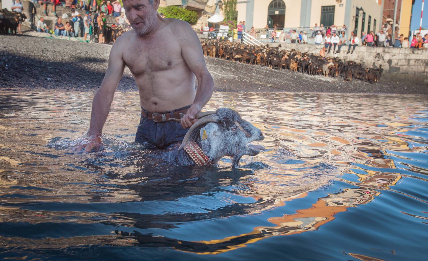 ¡Al agua cabras!