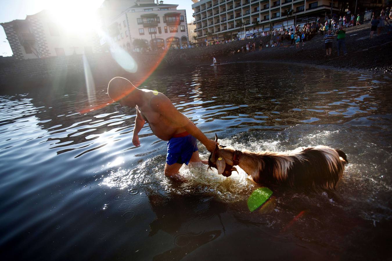 ¡Al agua cabras!