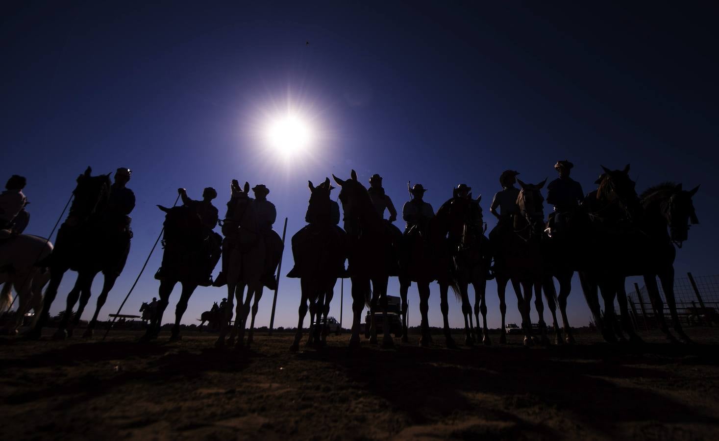 La &#039;Saca de Yeguas&#039; pasa por Doñana