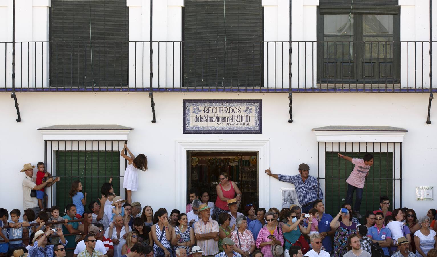 La &#039;Saca de Yeguas&#039; pasa por Doñana