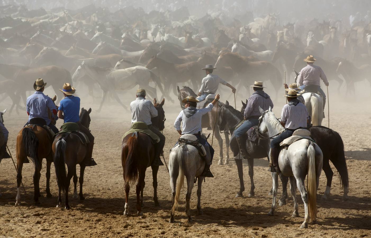 La &#039;Saca de Yeguas&#039; pasa por Doñana
