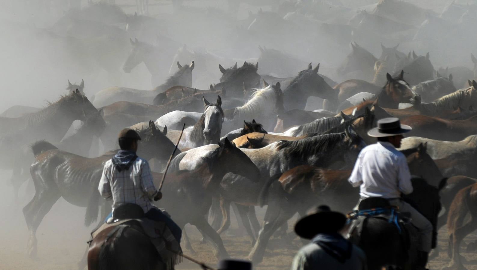 La &#039;Saca de Yeguas&#039; pasa por Doñana
