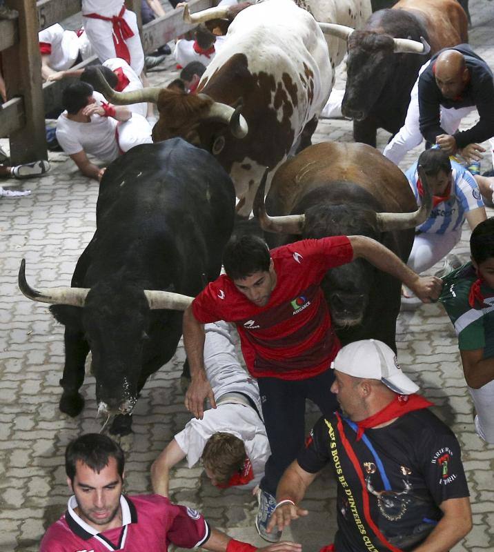 Los mosos son alcanzados por los toros durante el encierro.