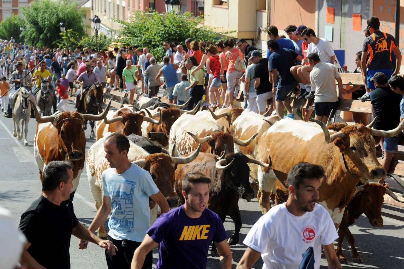 II Encierro de Moratalla