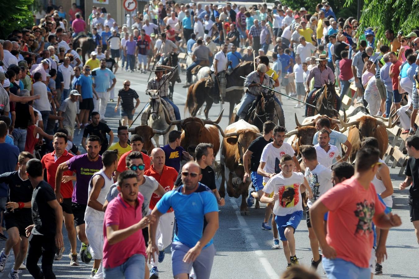 II Encierro de Moratalla