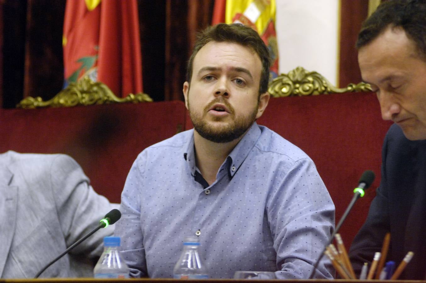 Pleno ordinario del Ayuntamiento de Elche