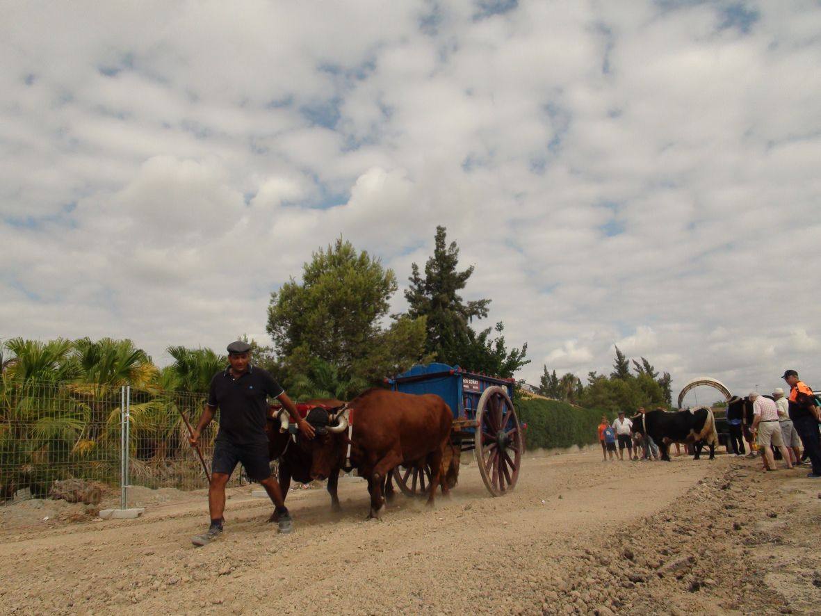 Carrera de burros y asnos de Dolores