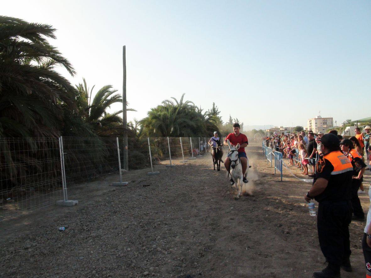 Carrera de burros y asnos de Dolores