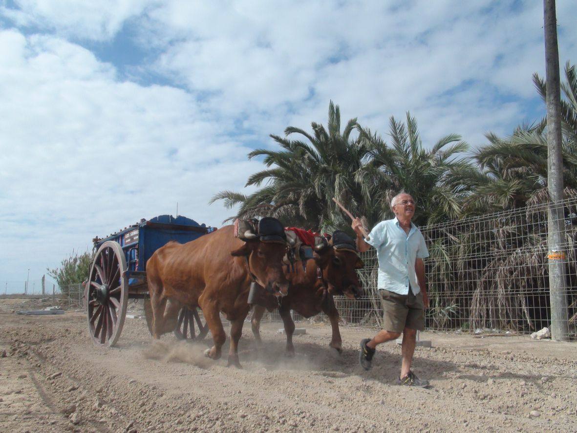 Carrera de burros y asnos de Dolores