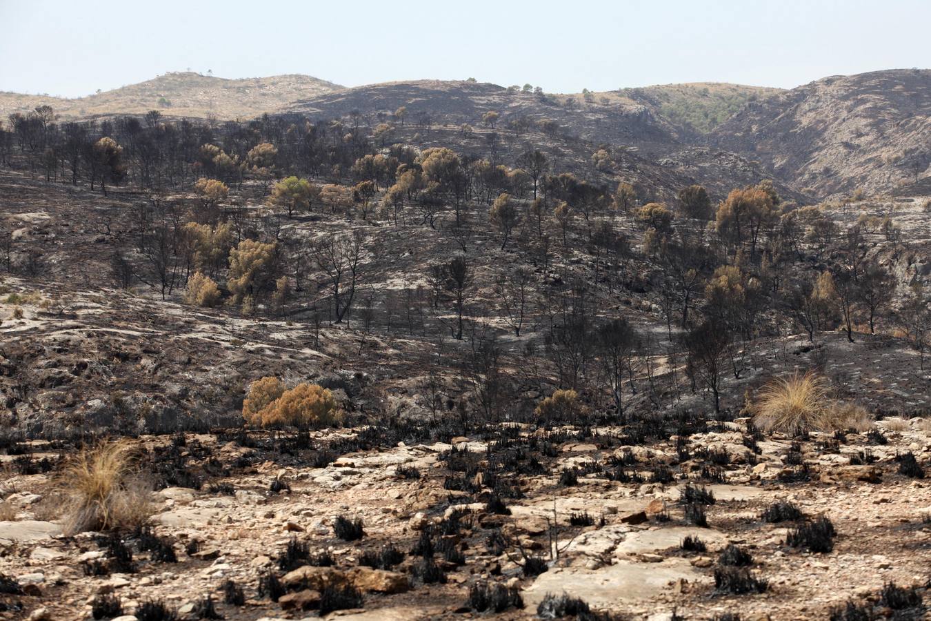 Así ha quedado el Cañón de Almadenes tras el fuego