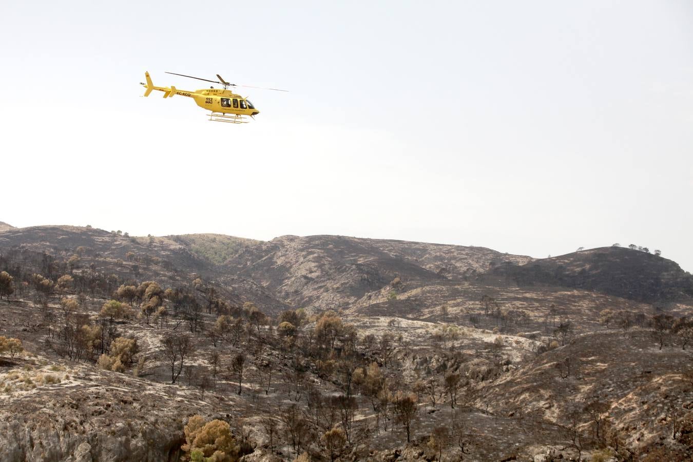 Así ha quedado el Cañón de Almadenes tras el fuego