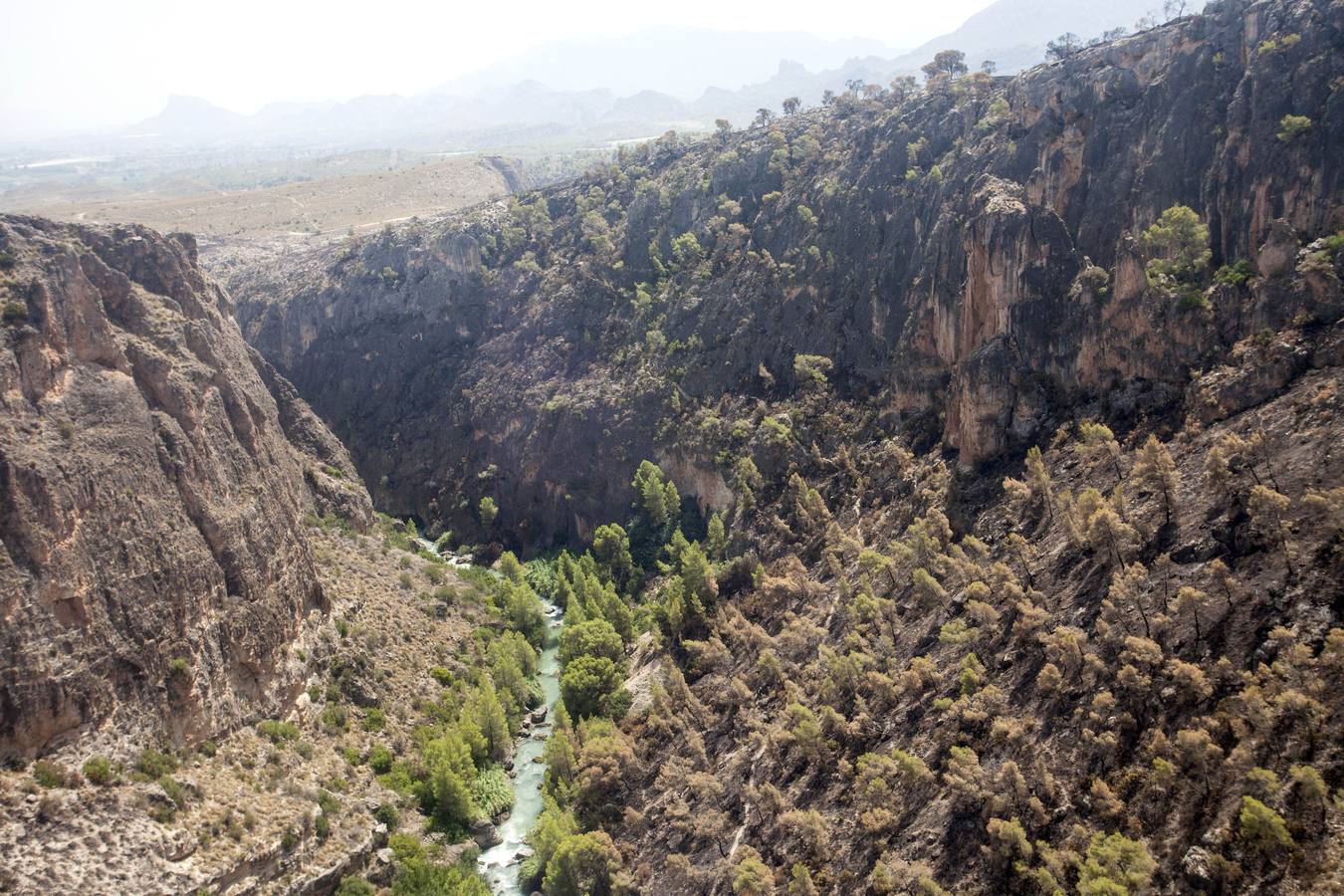 Así ha quedado el Cañón de Almadenes tras el fuego