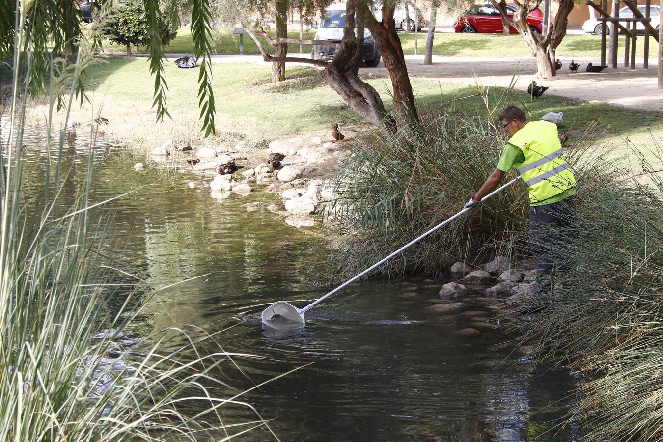 Batallón de limpieza en los parques de Murcia