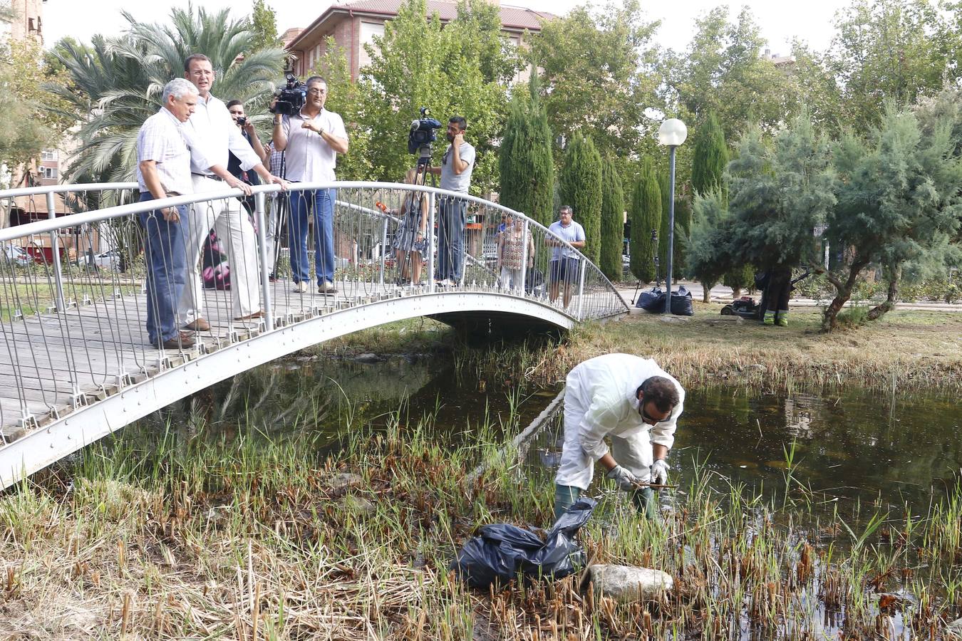 Batallón de limpieza en los parques de Murcia