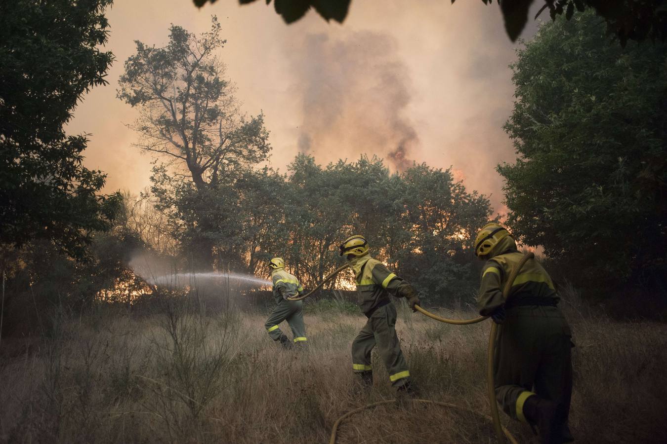 Un devastador incendio sacude Orense