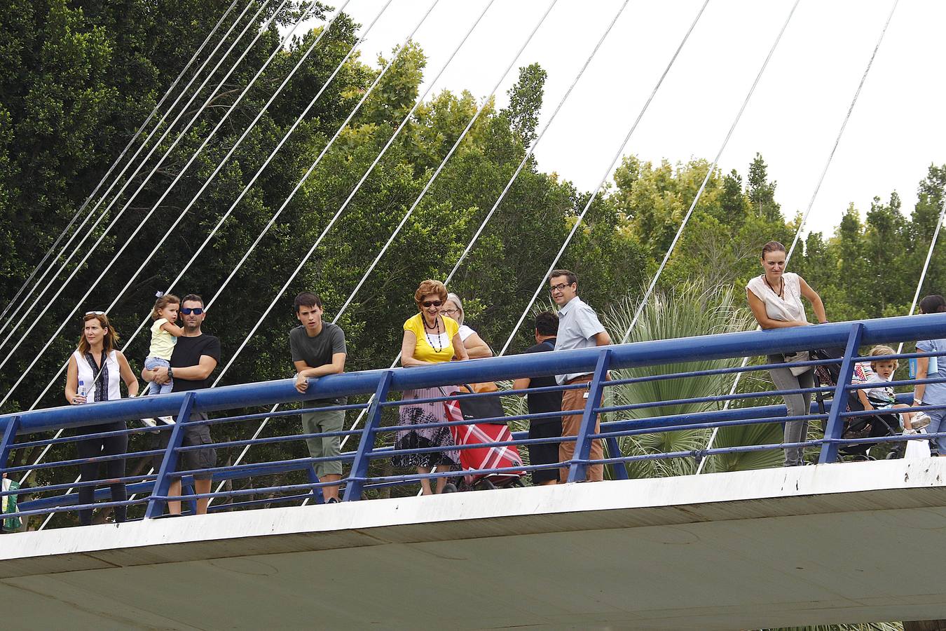 ¡Al agua, murcianos!