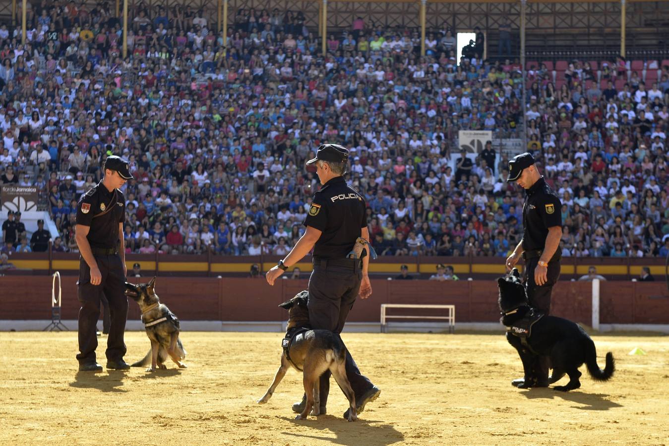 La Policía exhibe sus &#039;armas&#039;